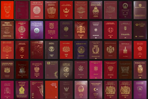 Passport small