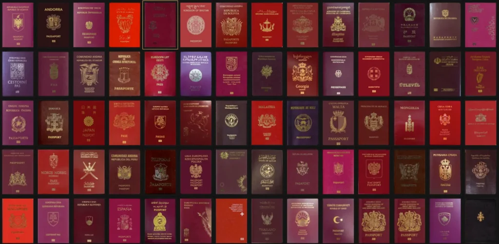 Passport in China