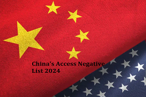 China's Access Negative List 2024 small