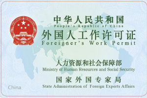 the Work Permit and Work Visa in China small