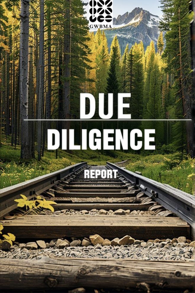 China-due-diligence-report