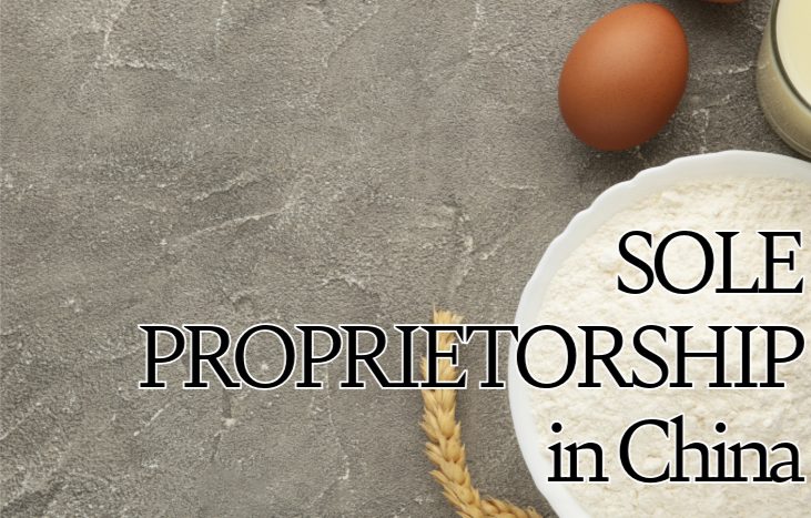 SOLE PROPRIETORSHIP in China